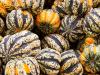 Colourful Gourds