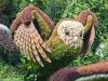 Owl in Bird Tree