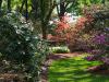 the Amherst Gardens