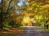 Autumn Driveway
