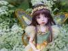 Goutweed Fairy