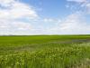 Manitoba Prairie