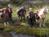 Narin & Adrian with the Horses