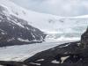 the Athabasca Glacier