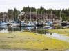 Uclulet Harbour at Low Tide