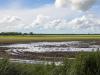 After the Rain, in Manitoba