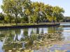 River Reflection