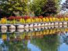 Waterfront Reflection