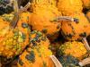 Warty Pumpkins