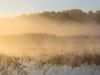 Misty Morning in Chapleau