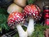 Mushroom Ornaments