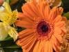 Bouquet Close-Up