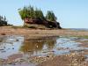 Low Tide