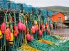 Traps and Floats, Trout River