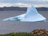 Bayview Iceberg