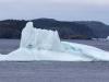 Bayview Iceberg