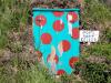 Colourful Root Cellar