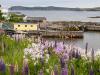 Twillingate Harbour