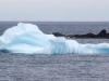 All that's Left of the Twillingate Iceberg