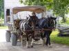  Passenger Transport