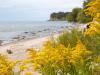 September Beach