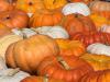 Pumpkins