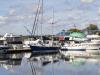 Boats in the Marina