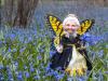Lily. the Butterfly Fairy