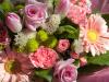 Pink Flowers
