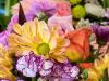 Colourful Flowers