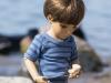 Gathering Shells