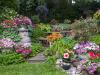 Early August Garden