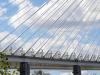 the Suspension Cables